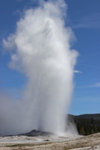 Old Faithful