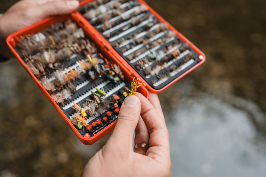 Trout fishing flies in reference to year-end tax planning